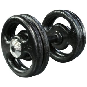 Dumbell Montado Pintado com Pegada Emborrachada