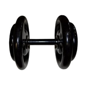 Dumbell Montado Emborrachado com Pegada Emborrachada